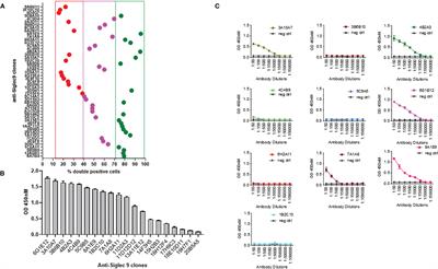 Development of Siglec-9 Blocking Antibody to Enhance Anti-Tumor Immunity